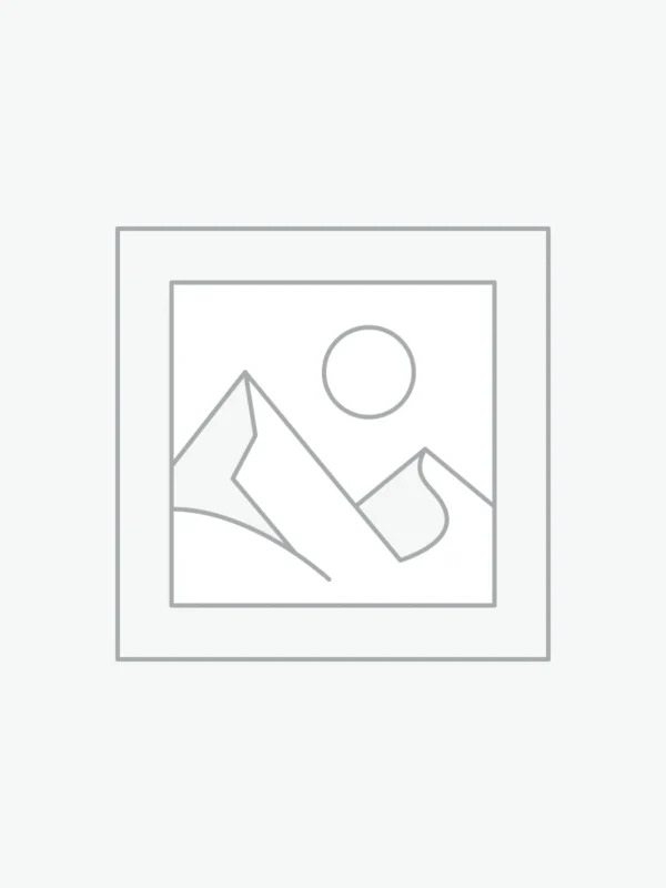 JBW01 Electric Two Flavor Pot